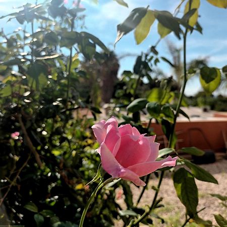 Guesthouse En Coveta Fuma- เอลกัมเปโญ ภายนอก รูปภาพ