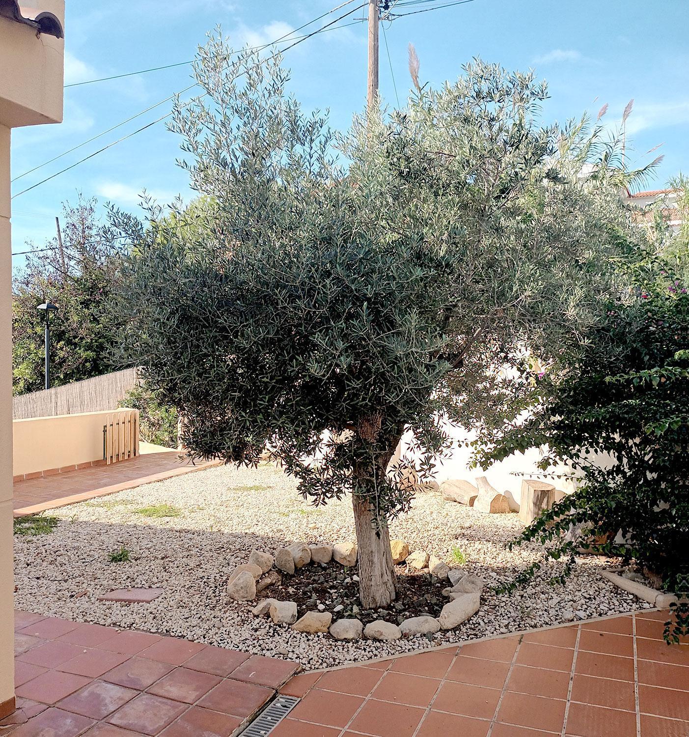 Guesthouse En Coveta Fuma- เอลกัมเปโญ ภายนอก รูปภาพ