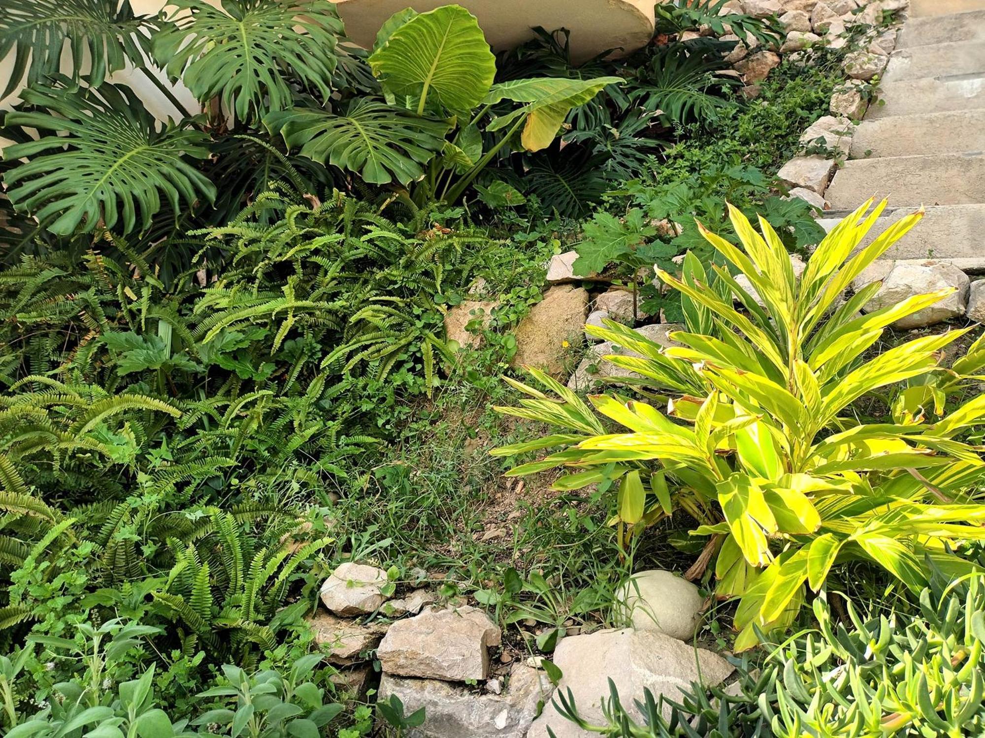 Guesthouse En Coveta Fuma- เอลกัมเปโญ ภายนอก รูปภาพ